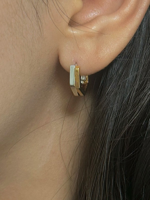 Common earring